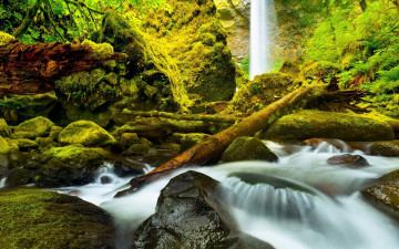 Картинка природа водопады камни зелень бревна водопад