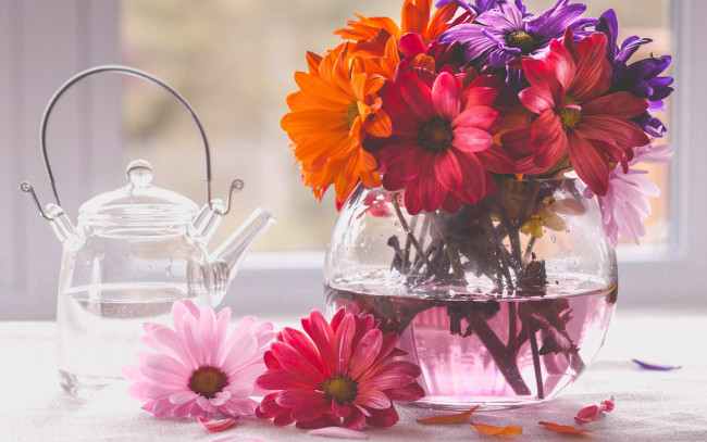 Обои картинки фото цветы, букеты,  композиции, чайник, ваза, букет