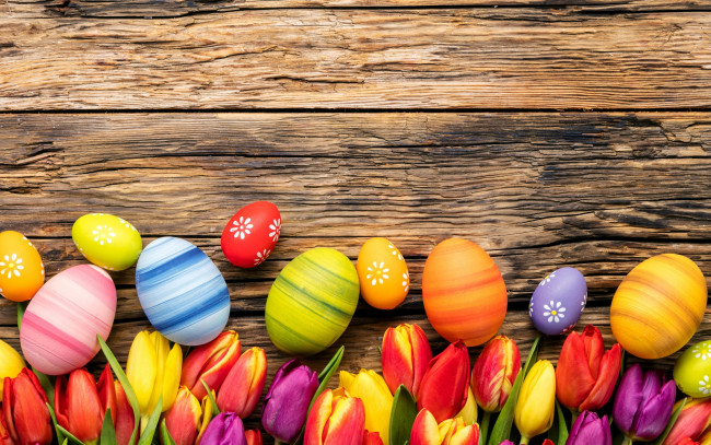 Обои картинки фото праздничные, пасха, весна, тюльпаны, цветы, яйца