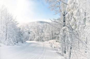 Картинка природа зима дорога лес деревья пейзаж