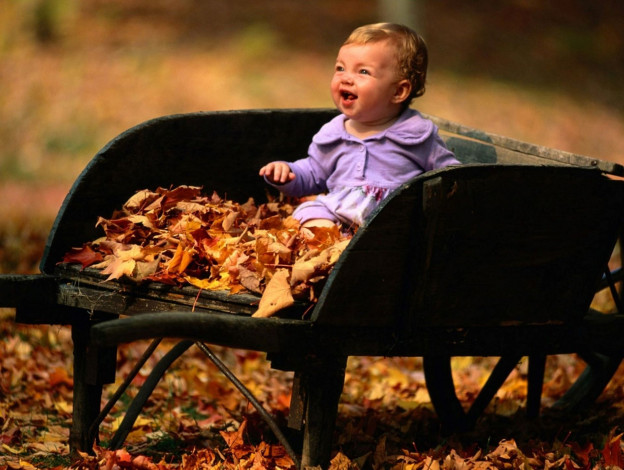 Обои картинки фото разное, люди, ребенок, тачка, листья, осень