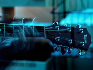 Картинка музыка музыкальные инструменты гриф руки музыкант taylor гитара