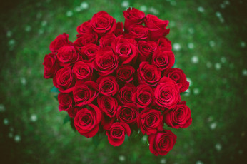 Картинка цветы розы букет красный