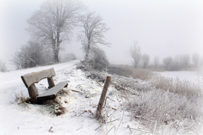 Обои картинки фото природа, зима, трава, деревья, снег, скамейка, дорога