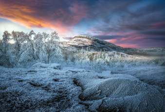 Картинка природа зима иней деревья горы