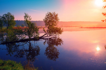 Картинка природа восходы закаты восход дерево река