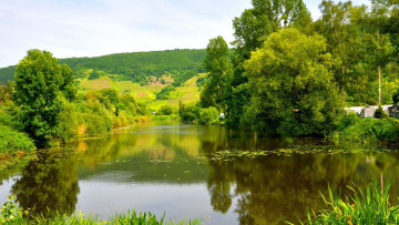 Картинка природа реки озера деревья река лето