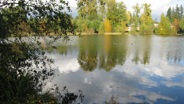 Картинка природа реки озера отражение река осень