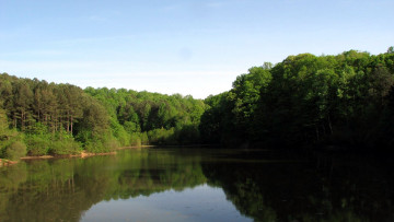 Картинка природа реки озера река деревья лето
