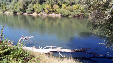 Картинка природа реки озера ствол река деревья