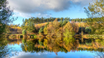 Картинка природа реки озера водоём осень деревья лес озеро
