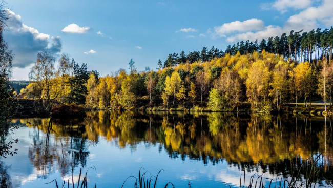 Обои картинки фото природа, реки, озера, деревья, лес, озеро, водоём, осень