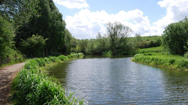 Обои картинки фото природа, реки, озера, деревья, трава, лето, река