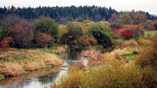 Обои картинки фото природа, реки, озера, ручей, осень, кусты