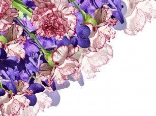 Картинка цветы разные+вместе гвоздики орхидеи букет