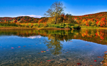 Картинка природа реки озера берег озеро осень деревья холмы