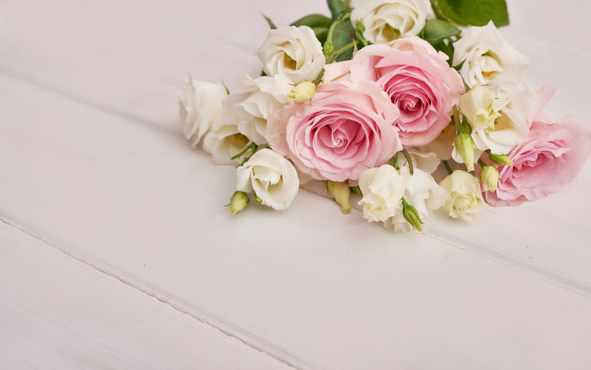 Обои картинки фото цветы, разные вместе, фон, розовый, розы, букет, эустома