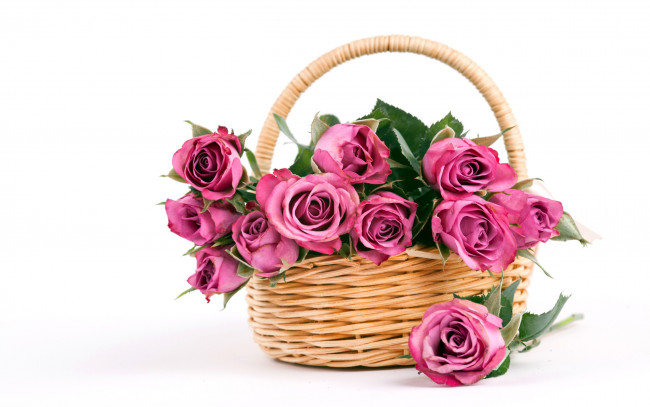 Обои картинки фото цветы, розы, корзинка, букет
