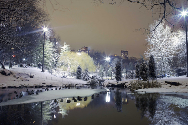 Обои картинки фото города, - огни ночного города, город, зима, деревья, фонари, снег, ставок, парк