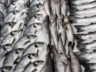 Картинка еда рыба +морепродукты +суши +роллы свежая