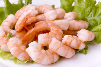 Картинка еда рыба морепродукты суши роллы салат креветки