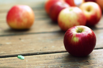 Картинка еда Яблоки столешница яблоки
