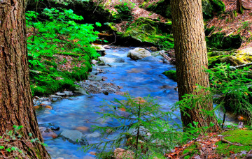 Картинка природа реки озера лес река камни деревья