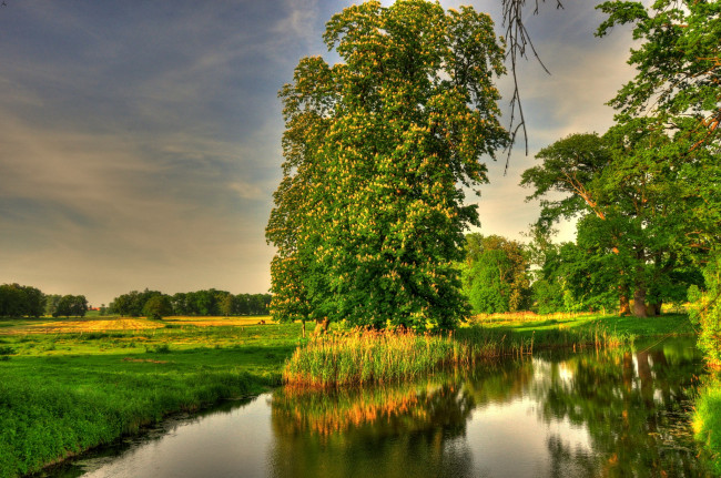 Обои картинки фото германия, базедов, природа, реки, озера, река, деревья