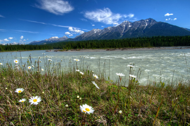 Обои картинки фото vermilion, river, kootenay, national, park, canada, природа, реки, озера, берег, река