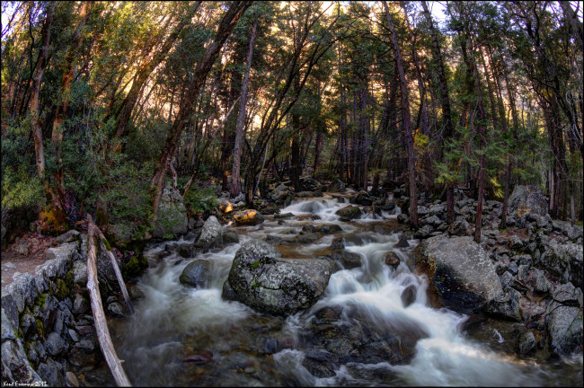 Обои картинки фото california, yosemite, national, park, природа, реки, озера, лес, река, водопад