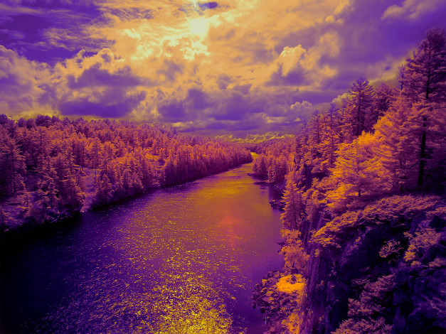 Обои картинки фото разное, компьютерный дизайн, свет, облака, природа, деревья, лес, река, небо, цвет