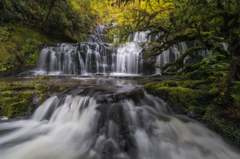 Картинка природа водопады лес река поток камни
