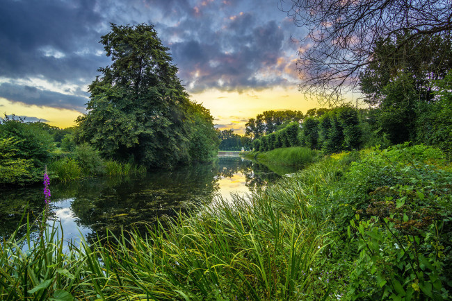 Обои картинки фото природа, реки, озера, в, садах, дворца, аугустусбург, брюле, германия, река, закат