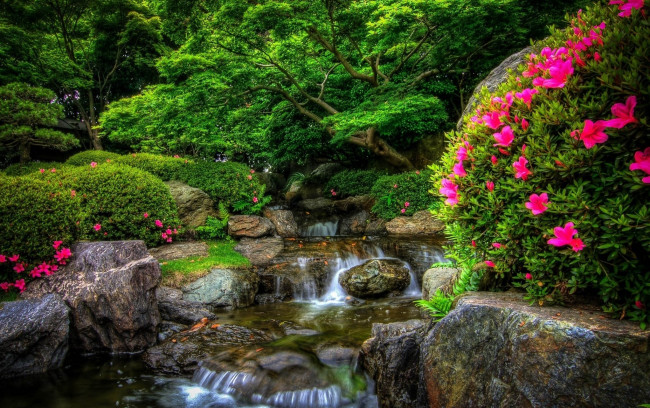 Обои картинки фото природа, парк, цветущие, кусты, водопад