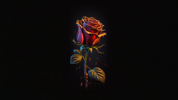 Картинка рисованное цветы цветок красная роза листья кровь шипы тёмный фон