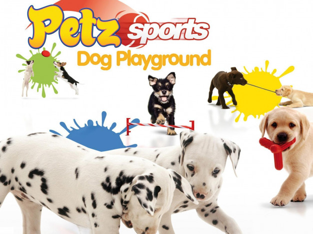 Обои картинки фото petz, sports, dog, playground, видео, игры