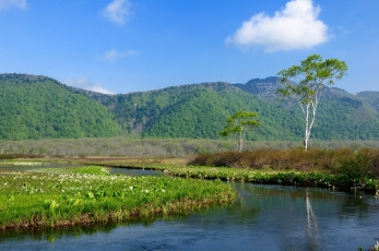 Картинка природа реки озера дерево горы река