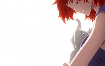Картинка the breaker аниме animals девушка кошка рыжая белый фон jin-ie kwon