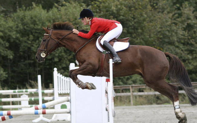 Обои картинки фото спорт, конный, прыжок, барьер, всадница, лошадь