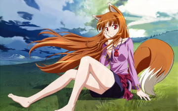 обоя аниме, spice and wolf, арт, horo, spice, and, wolf, девушка