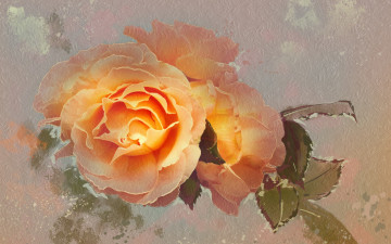 Картинка рисованное цветы роза цветок текстура