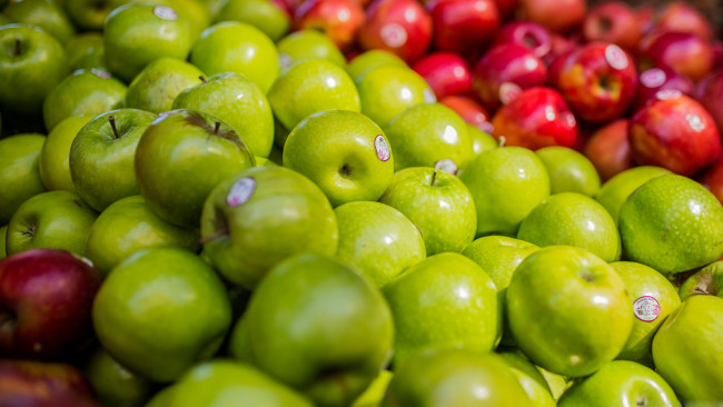 Обои картинки фото еда, Яблоки, зеленые, яблоки, много