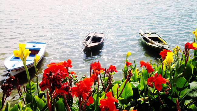 Обои картинки фото корабли, лодки,  шлюпки, озеро, цветы