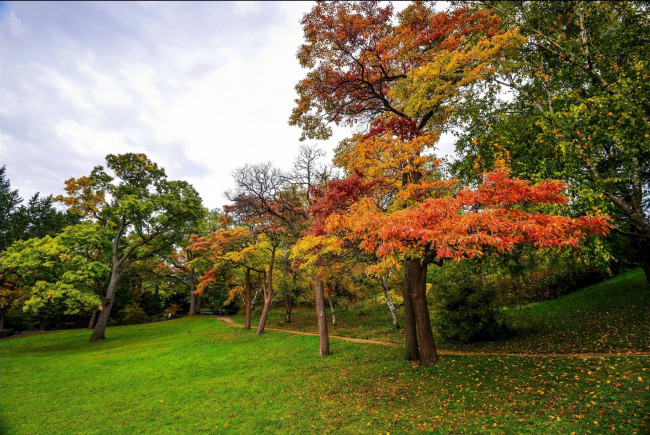 Обои картинки фото природа, парк, листопад, осень