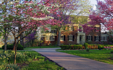 Картинка города -+здания +дома особняк цветы весна