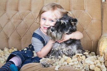 Картинка разное дети ребенок собака диван