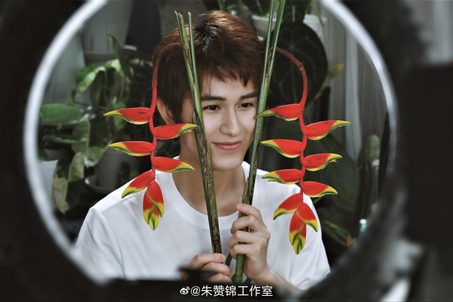Обои картинки фото мужчины, zhu zanjin, актер, цветок