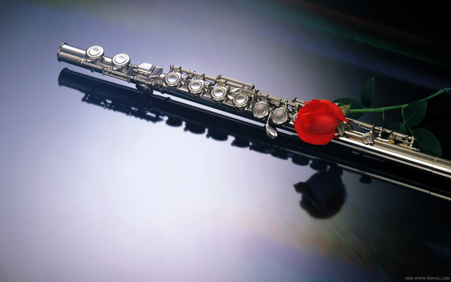 Обои картинки фото музыка, музыкальные, инструменты, флейта, цветок