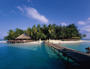 Картинка angsana ihuru maldives природа тропики мальдивы остров пальмы мостик океан