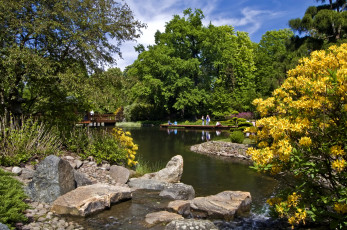 Картинка польша вроцлав природа парк пруд мостик деревья